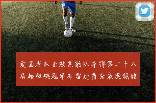 爱国者队击败黑豹队夺得第二十八届超级碗冠军布雷迪首秀表现稳健