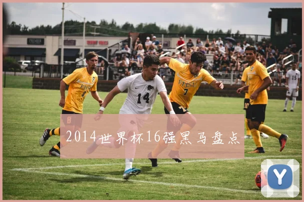 2014世界杯16强黑马盘点