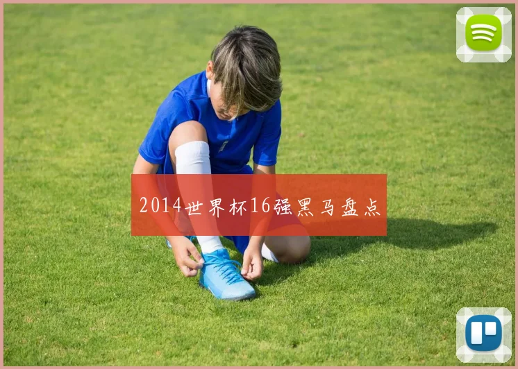 2014世界杯16强黑马盘点